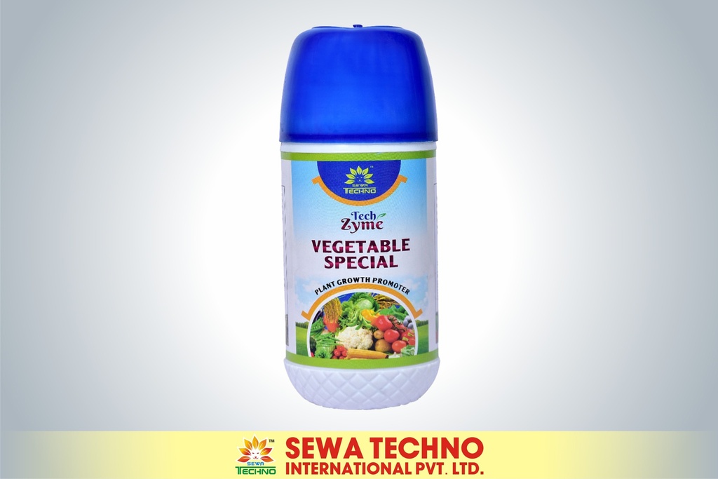 Vegetable Special