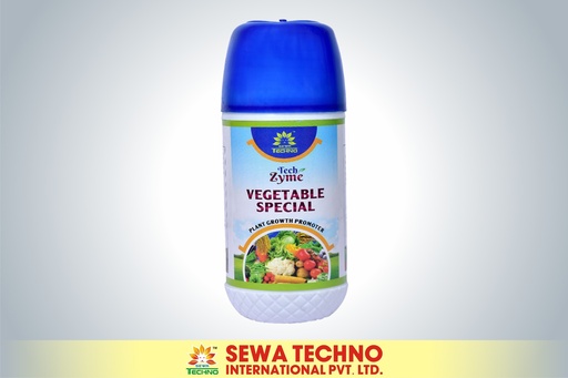 Vegetable Special